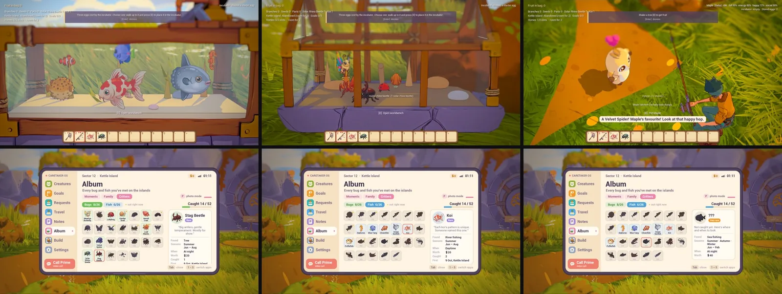 Top row: an aquarium with a koi, a pufferfish, a sunfish and small tropical fish; a glass terrarium with a spider and beetles inside; a creature with a heart over its head after the caretaker gives it a Velvet Spider. Bottom row: the phone album's Critters tab showing caught bugs, caught fish with a koi detail card, and a silhouette for a fish not caught yet, each with Caught 14 / 52